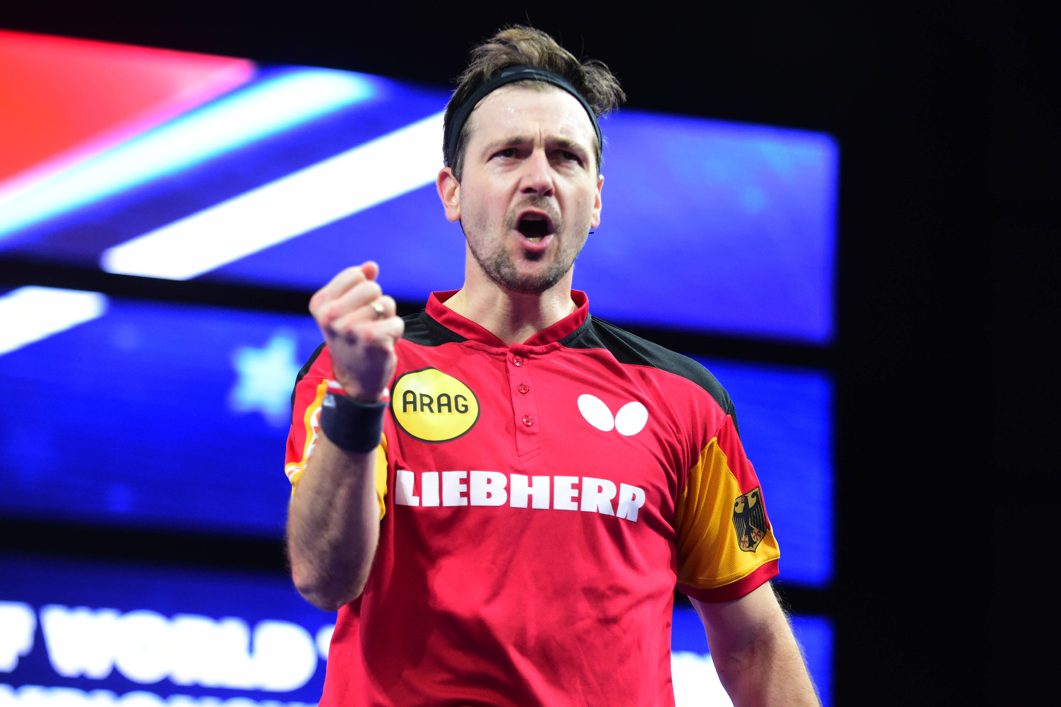 奥地利乒乓球队横扫比利时乒乓球队，波尔惊艳世界的简单介绍