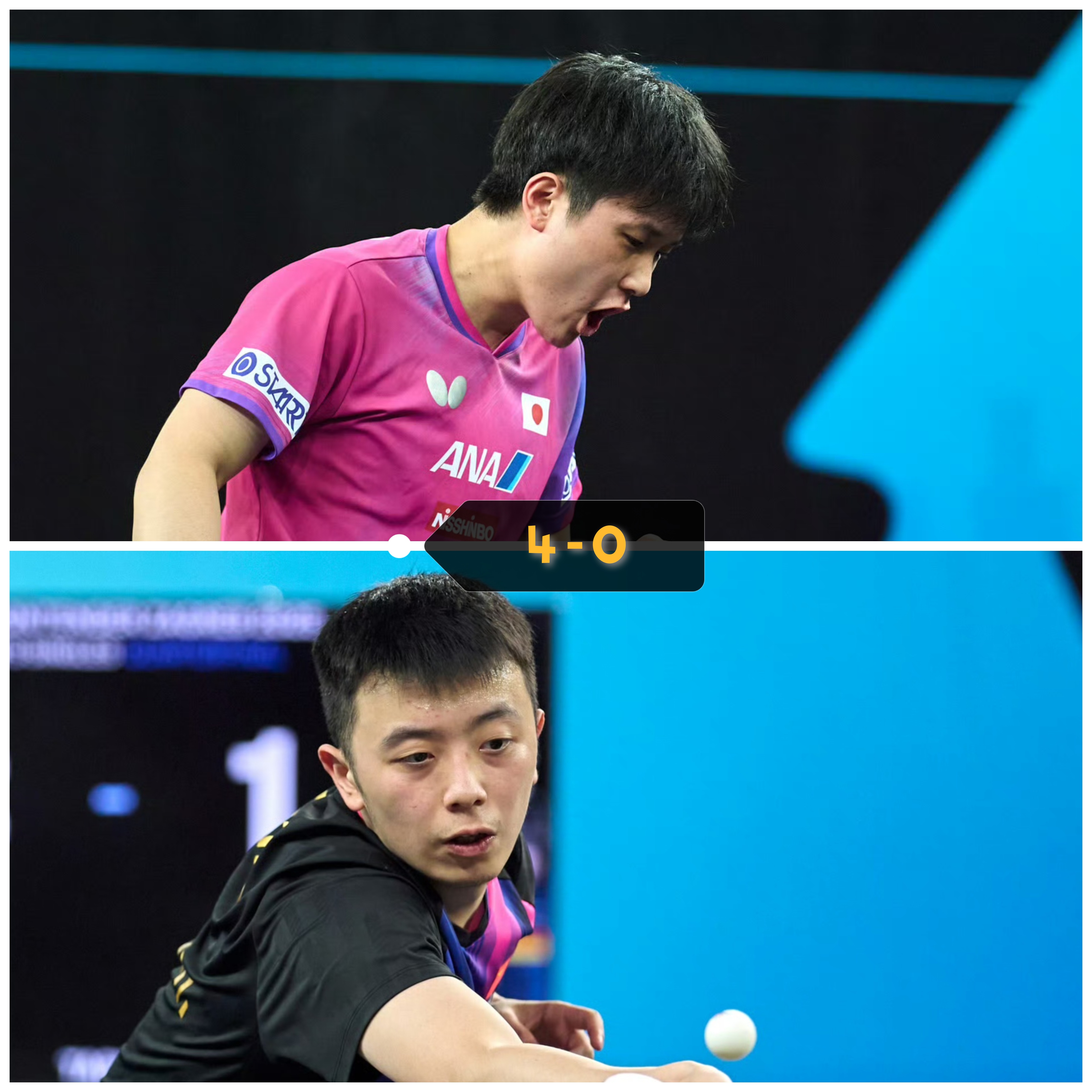 关于葡萄牙队绝杀中国队，张本智和刷新纪录的信息