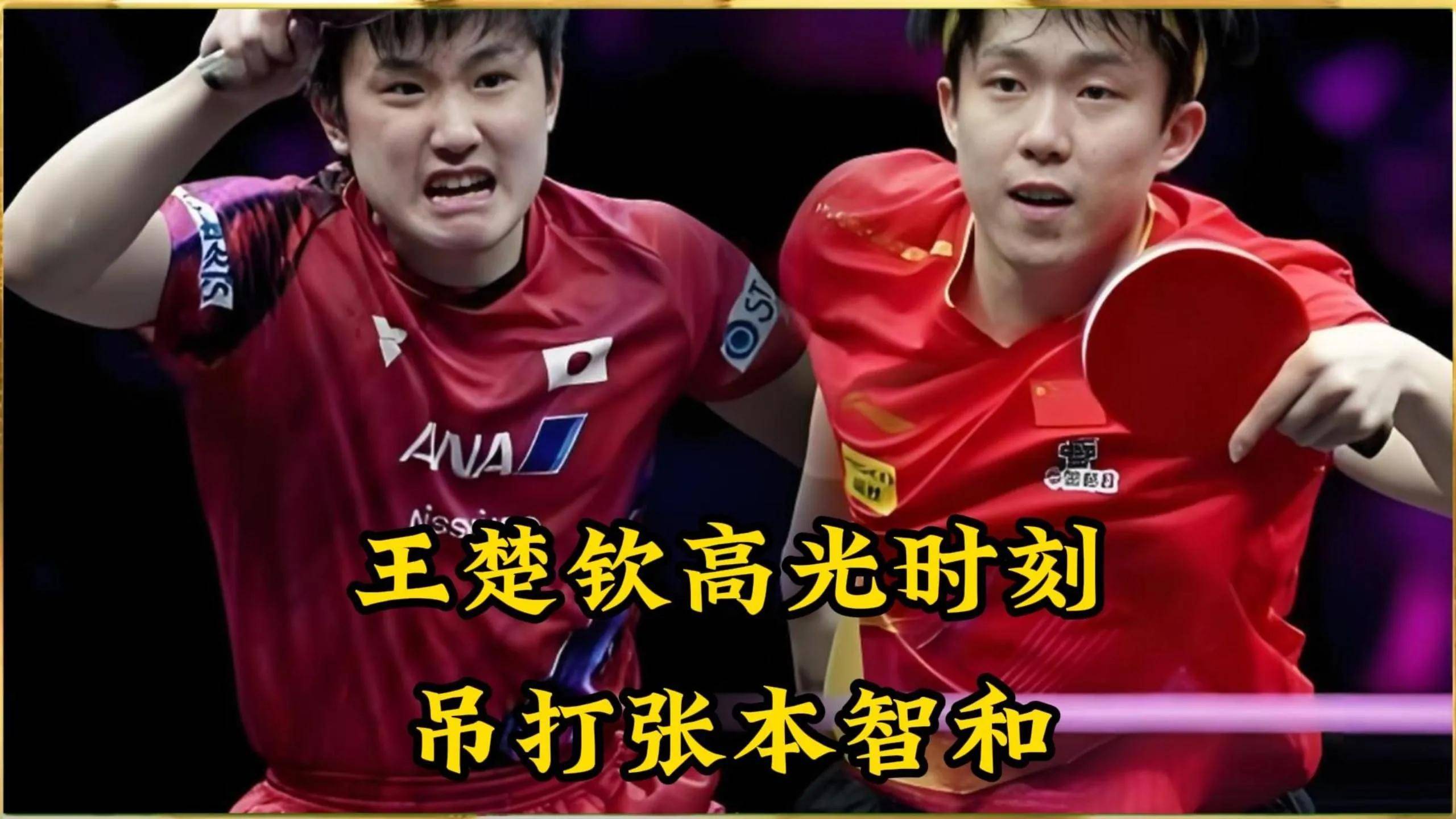 包含瑞典队险胜波兰队,张本智和关键制胜的词条 包含瑞典队险胜波兰队,张本智和关键制胜的词条