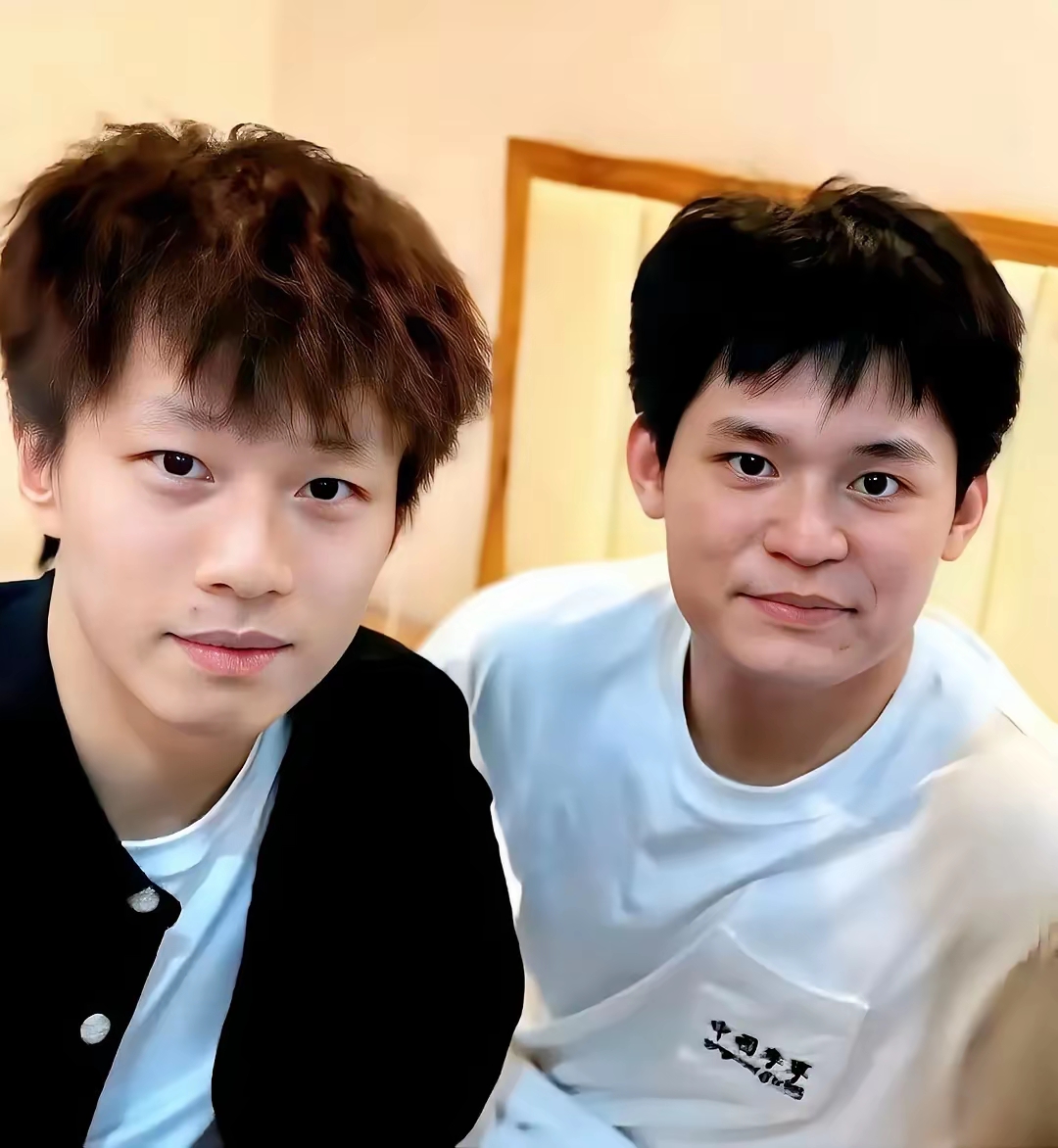 瑞典队完胜德国队，林高远状态火热