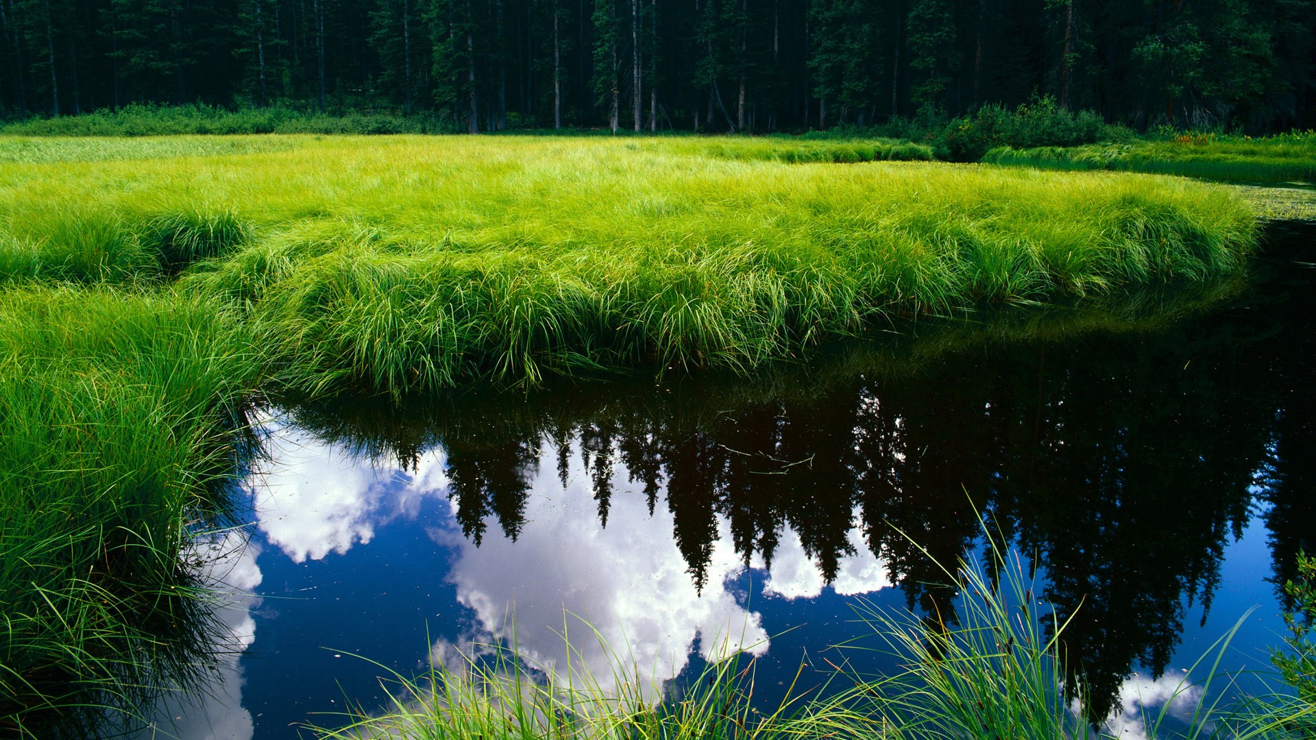 欧冠半决赛焦点战启示录，快船式提前终结悬念与浙江队的韧性哲学