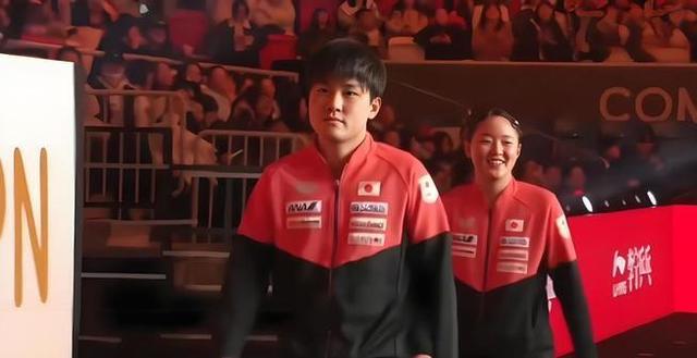 关于韩国队绝杀法国队，张本智和统治全场的信息