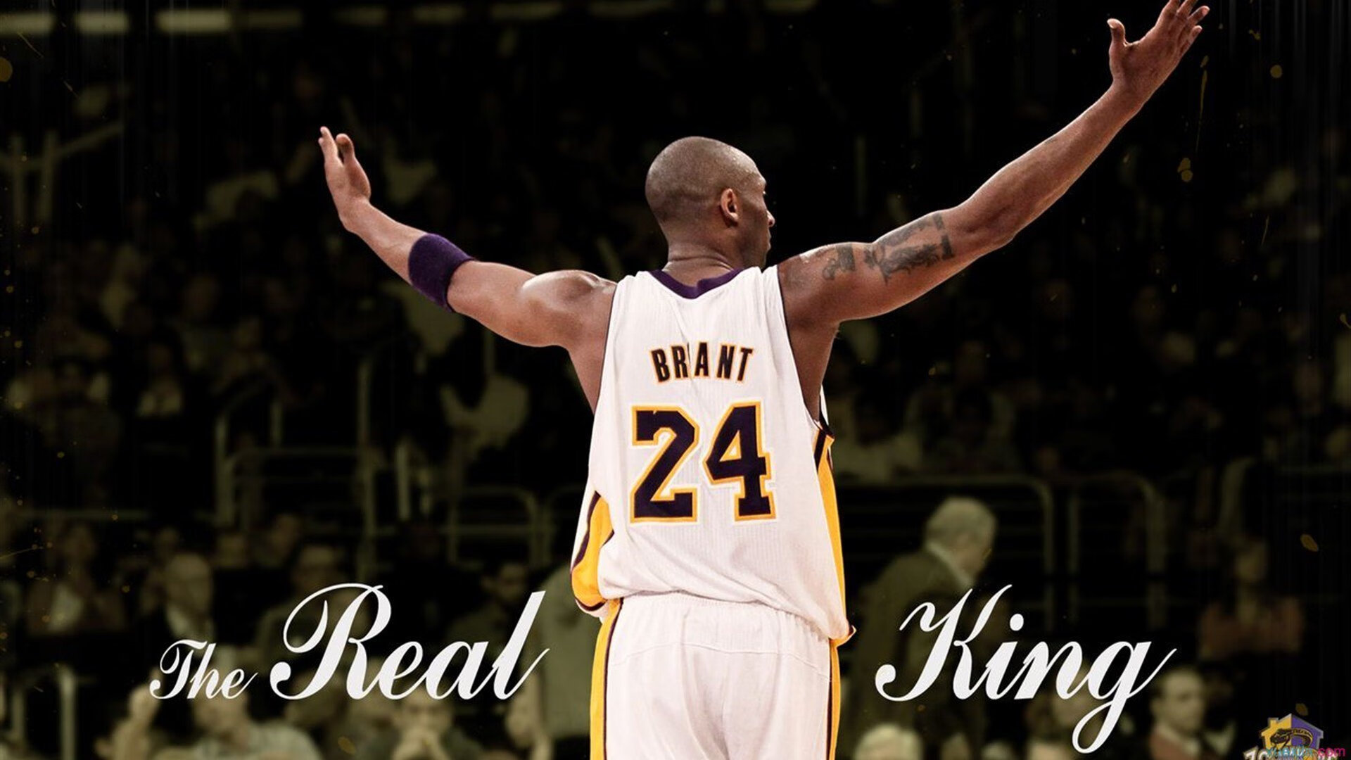 当魔术撕碎剧本，爱德华兹的惊艳，不只是浙江队的噩梦