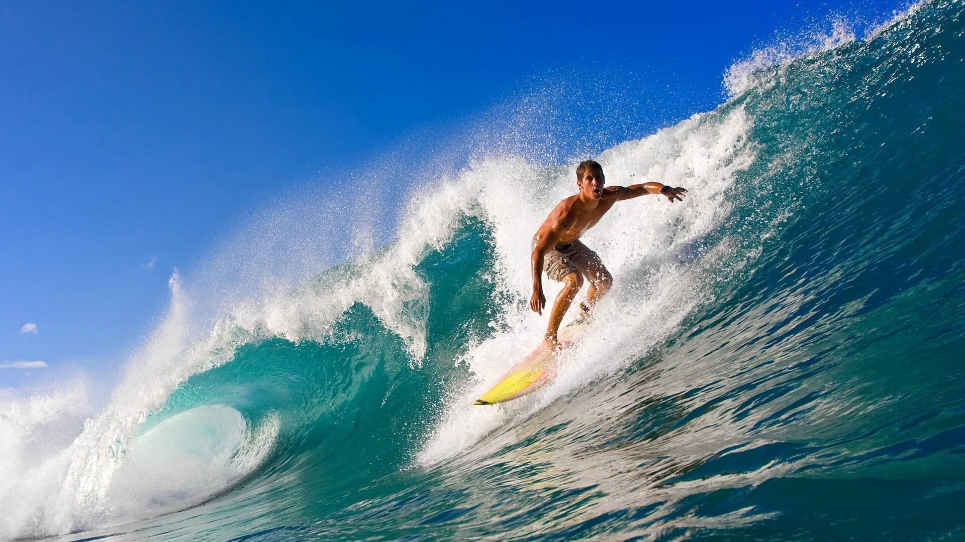年度焦点之战之夜,福克斯赛后评分拉满,一场注定载入史册的传奇对决